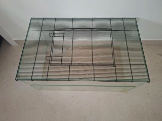 Jaula cristal para roedores pequeños