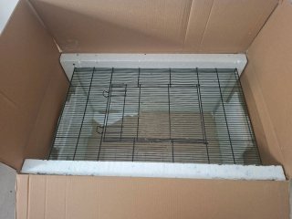 Jaula cristal para roedores pequeños