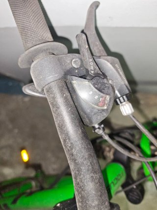 Bicicleta infantil verde FOCUS