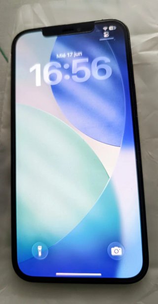 iPhone 12 Pro Max 256GB Color: Gris azulado