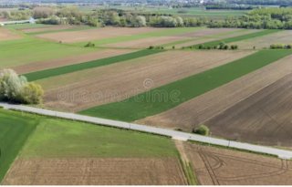Tierras venta La Bureba cultivo