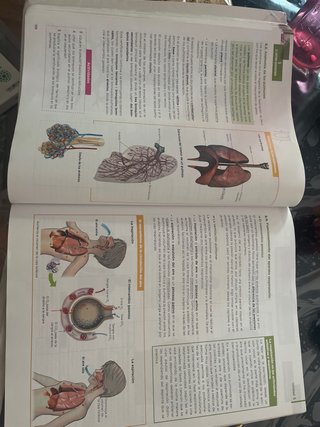 Anatomía aplicada, 1 Bachillerato