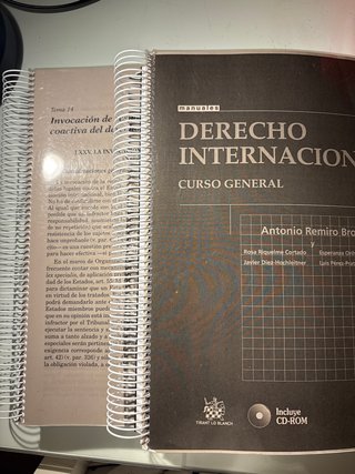 Manual Derecho Internacional Público