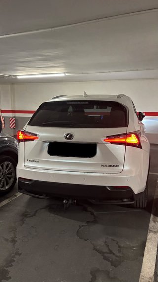 Lexus NX 2014