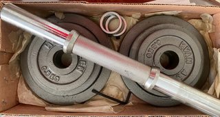 2 Mancuernas Van Allen 11 Kg c/u + Discos