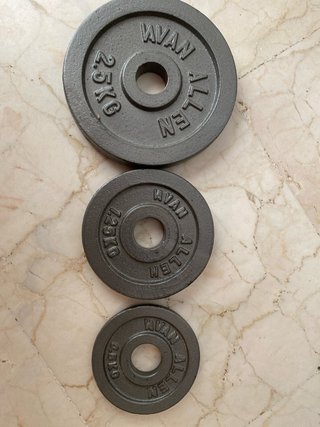 2 Mancuernas Van Allen 11 Kg c/u + Discos