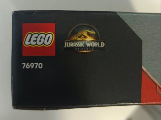 LEGO Jurassic World 76970