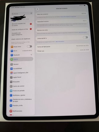 Ipad Pro 13 M5 Wifi 256 Gb nueva