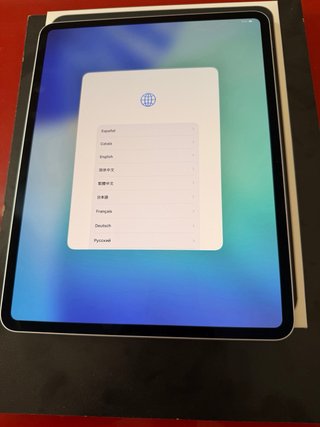 Ipad Pro 13 M5 Wifi 256 Gb nueva