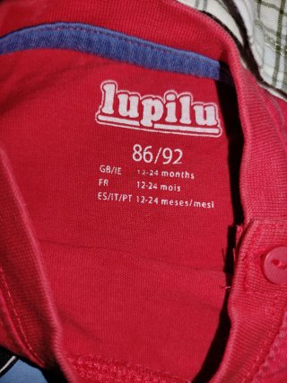 Lote Ropa Niño 12 a 24 Meses