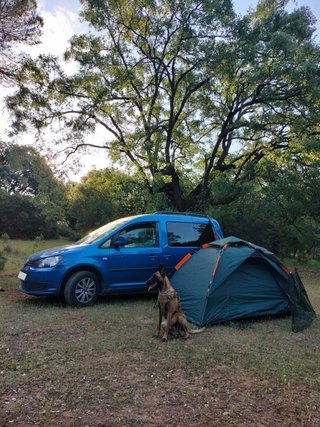 Volkswagen Caddy 2013