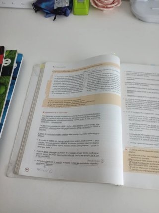 Estilo 1. Lengua castellana y Literatura 1 BACH