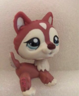 Littlest Pet Shop Husky #1793