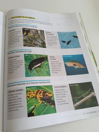 Biología y geología 1, Secundaria Edelvives
