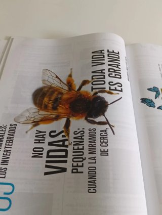 Biología y geología 1, Secundaria Edelvives