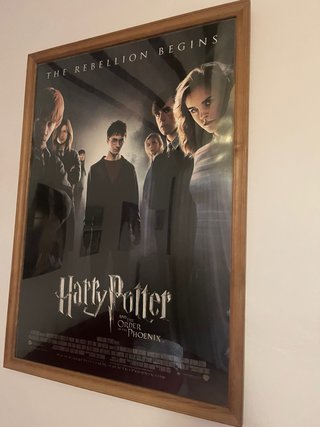 Cuadro Harry Potter La Orden del Fénix
