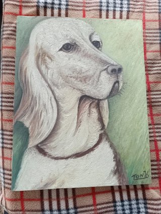 Dipinto cane cm 36x46