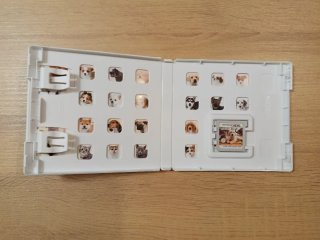 Giochi Nintendo 3DS: Animal Crossing + Nintendogs