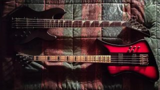 Bajo jackson kelly bird y concert bass 5 cuerdas