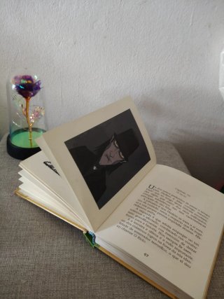 Mil cousas poden pasar libro 1