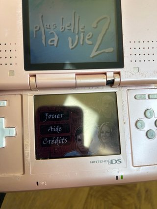 Nintendo DS Rosa + Caricabatterie + Gioco