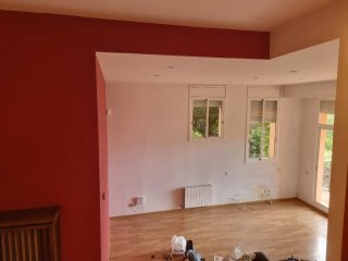 Servicios de pintura profesional