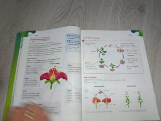 Natural Science, 3 Primary, Outside the Box, ByMe