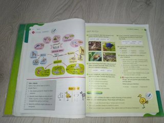 Natural Science, 3 Primary, Outside the Box, ByMe