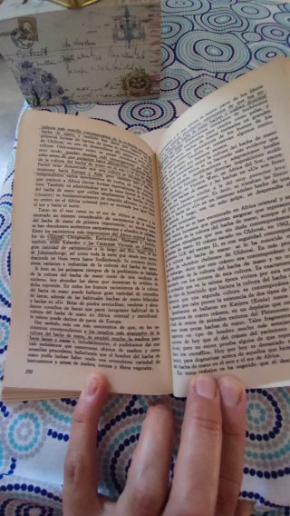 Lote 2 libros de Prehistoria