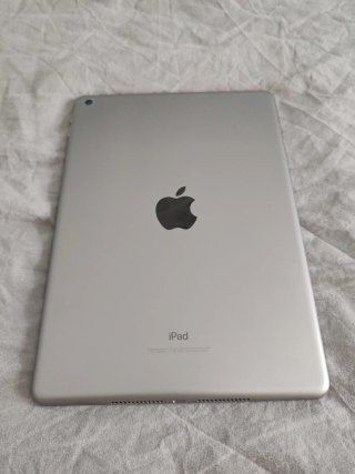 iPad 5ª Gen (2017) Plata