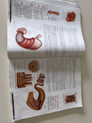 Biología y Geología 3º ESO. Libro del estudiant...