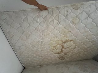 REGALO Cama y somier FLEX 190x135