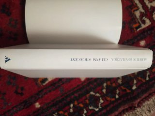 anni struggenti: romanzo