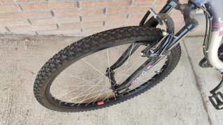 Bicicleta de Montaña Morada y Plateada