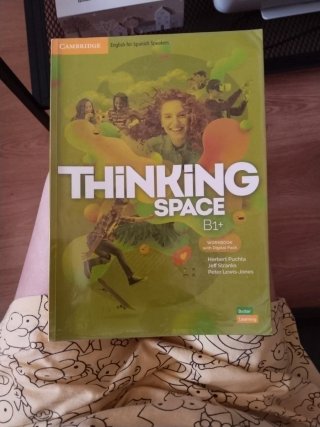 Thinking Space B1+ Workbook with Digital Pack