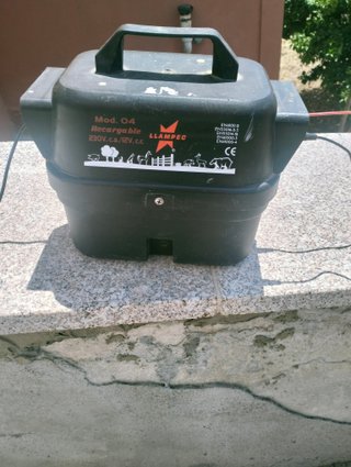 Pastor Eléctrico Animales
