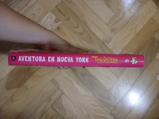 Aventura en Nueva York