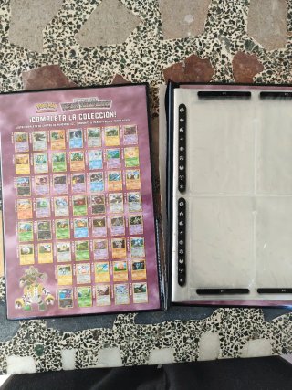 Álbum roto Pokémon Diamante y Perla - Frente Torme