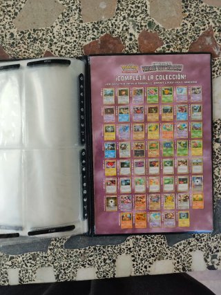 Álbum roto Pokémon Diamante y Perla - Frente Torme