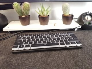 Teclado Gaming WHITE SHARK GK-2202 ASHIKO