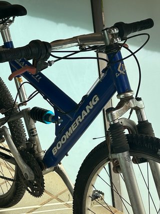 Bicicleta Boomerang T-19 Niño/a