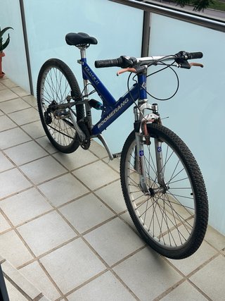 Bicicleta Boomerang T-19 Niño/a