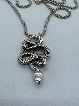 Colgante de serpiente plateado