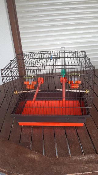 Jaula para pájaro pequeño