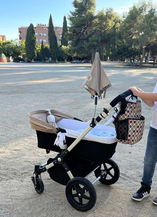 Carro Bugaboo Camaleon 3
