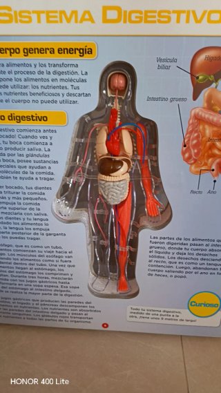 Libro 3D el cuerpo humano
