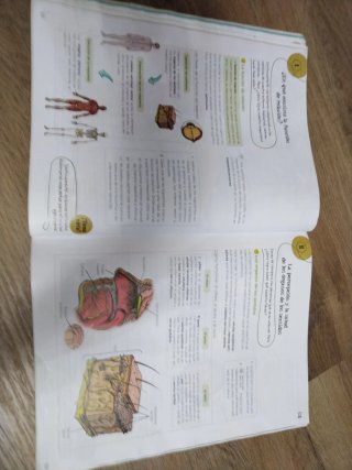 Ciencias de la Naturaleza 6