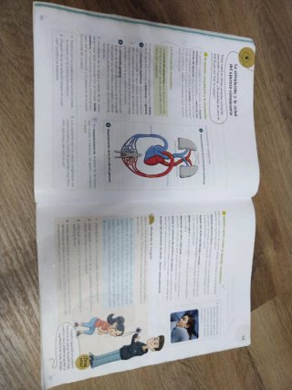 Ciencias de la Naturaleza 6
