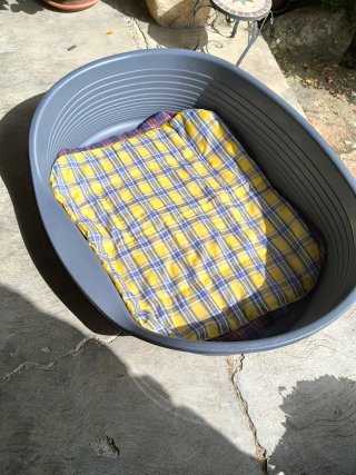 Cama para perro grande