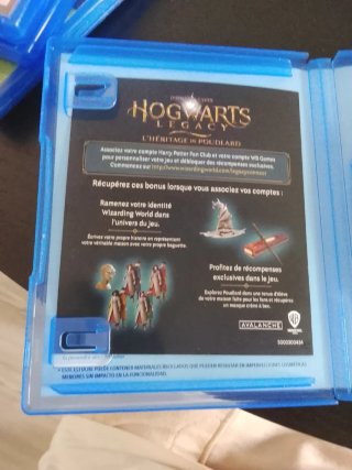 Hogwarts Legacy PS4 (PlayStation 4)